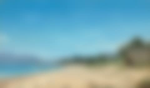 Hut by the sea shore (Cabane au bord de la mer) (preview)