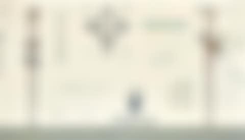 “Fanget fugl II” (Caught bird II) (preview)