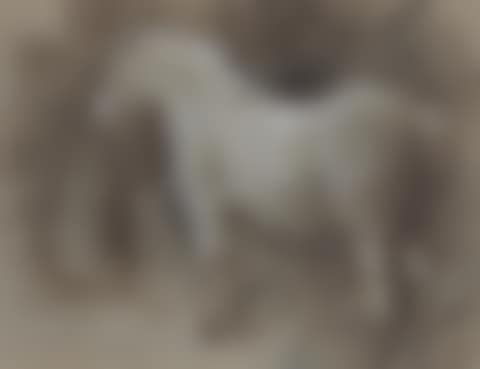 The grey pony (preview)