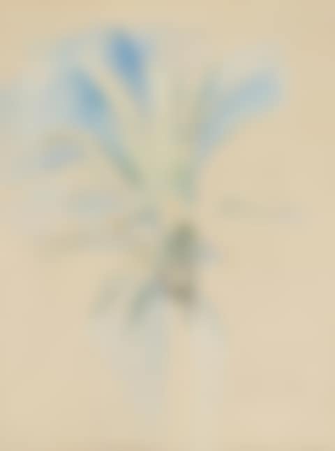 “Palme i Sevilla 1924” (preview)