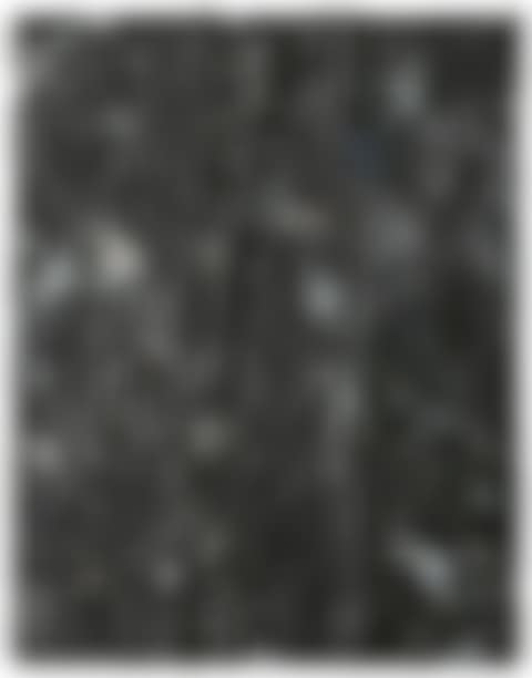 Untitled (SK-QJ) (preview)
