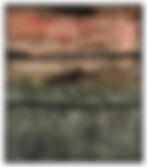 SP26 (preview)