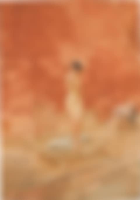 The red brick background (preview)