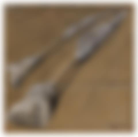Two Wrapped Trees (Project) (preview)