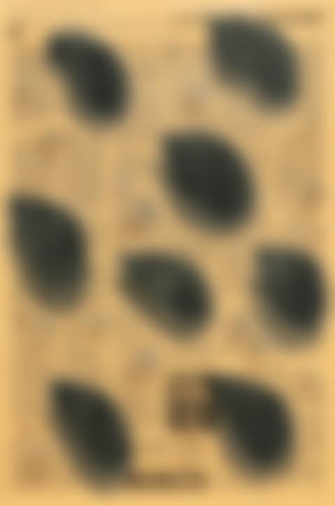 Waterdrops (preview)