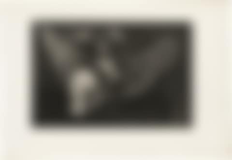 Disparate volante (preview)