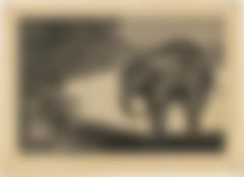 Disparate de beastia (preview)