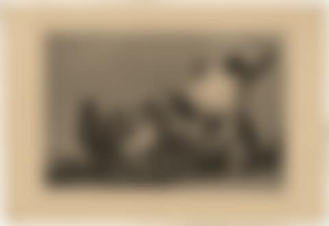 Disparate Conocido (preview)