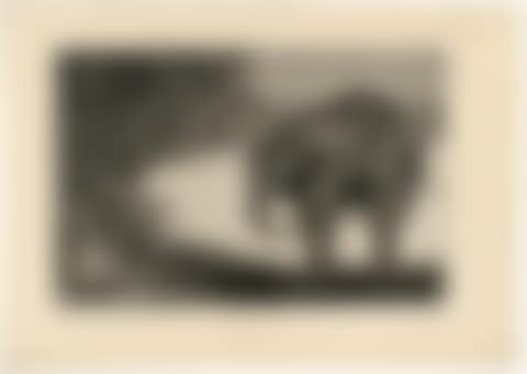 Disparate de Beastia (preview)