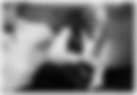 Alfred Stieglitz (preview)