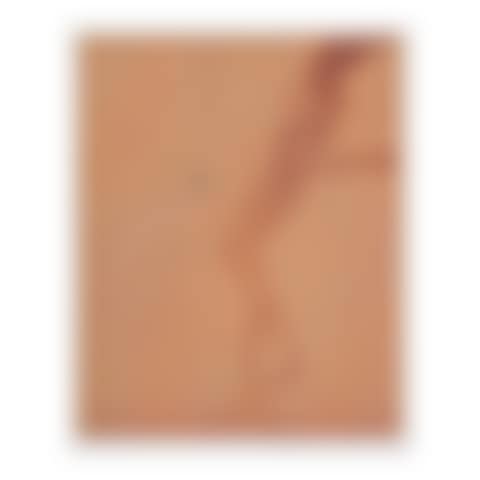 Copper Plate Nude 2 (preview)