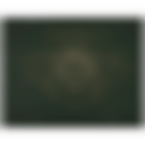Untitled (Green) (Cordes 8) (preview)