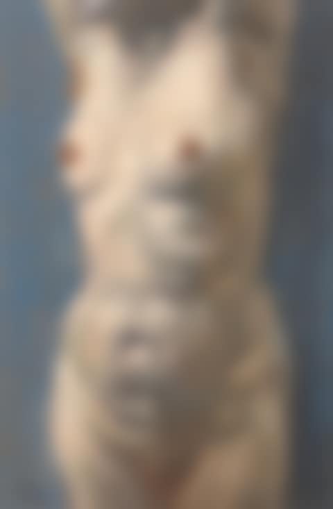 Nude Torso (preview)