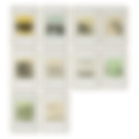 Polymorphoses (preview)