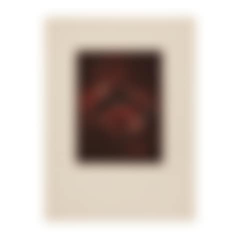 Paroles peintes (preview)