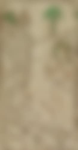 The Raising of Lazarus (preview)