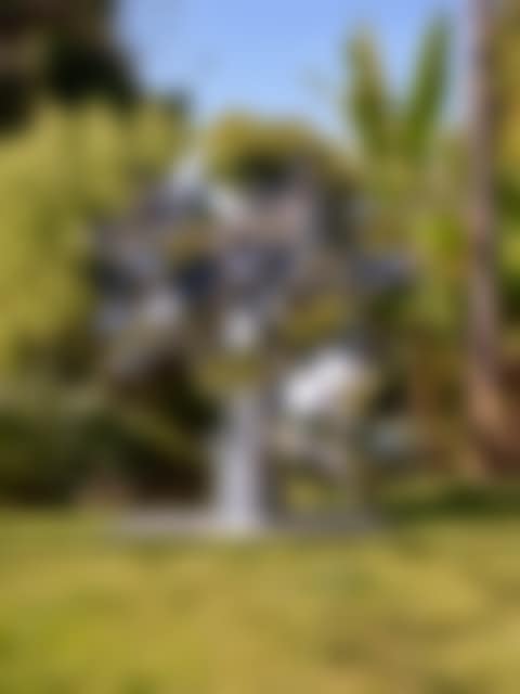 Ariela (preview)