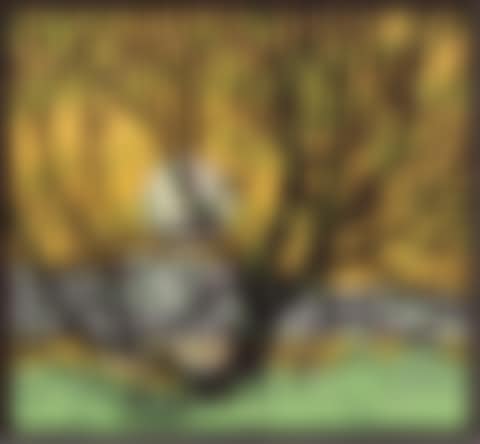 GRENADIER POND (preview)