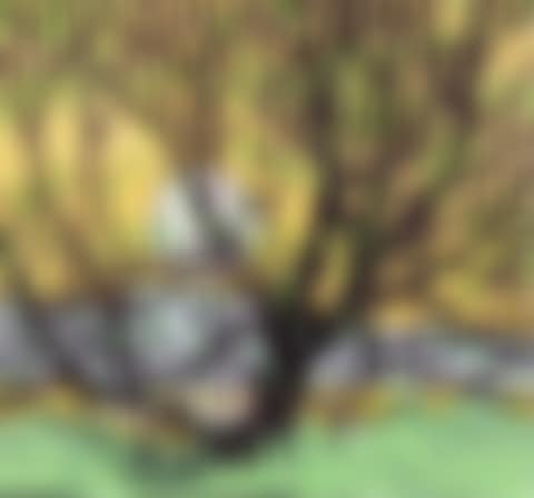 Grenadier Pond (preview)