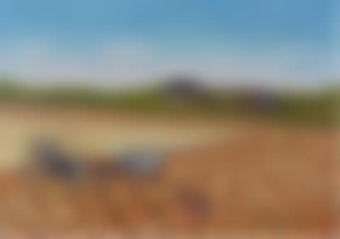 STOOKING SCENE (preview)