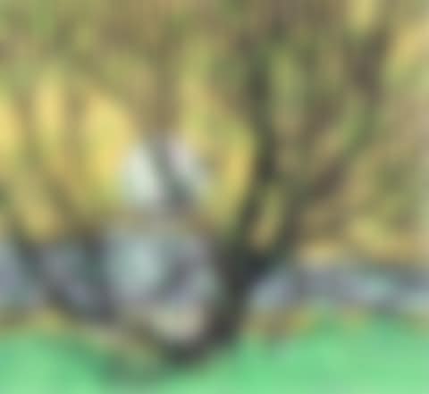 GRENADIER POND (preview)