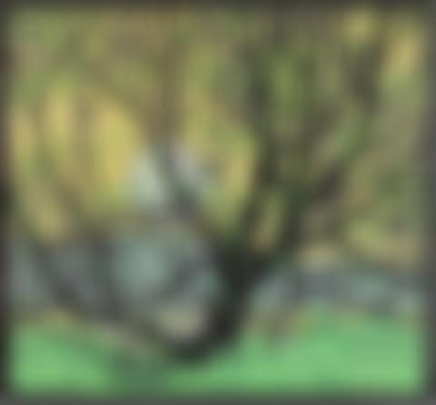 Grenadier pond (preview)