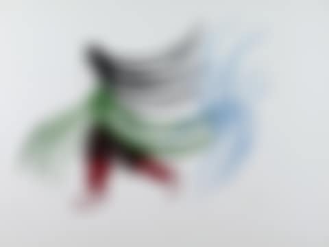 WOMAN HAUNTED BY BIRD (preview)
