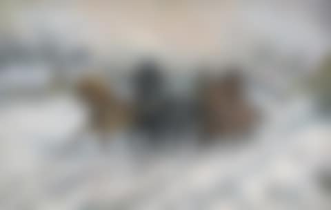WINTER SCENE WITH TROIKA (preview)