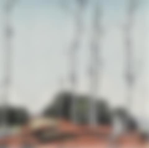 Sparrow lake (preview)