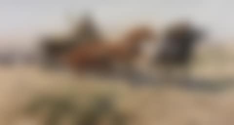RETURN FROM THE HORSE MARKET (preview)