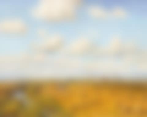 IN THE HARVEST FIELDS, NEAR SIMPSON (preview)