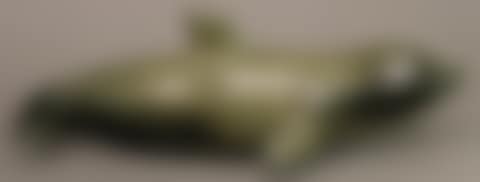 Beluga whale (preview)