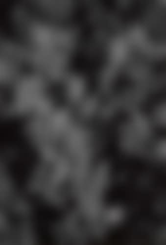with Kertész's signature, date, and numerical notation, in pencil, on verso (preview)