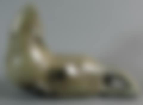 Seal (preview)