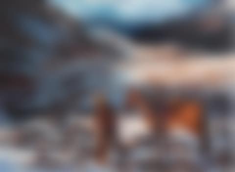 SCOUTING THE HIGH COUNTRY (preview)