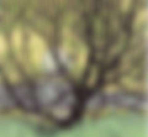 GRENADIER POND (preview)