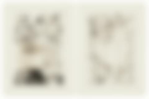 Two prints by the artist; Untitled #7; Untitled #8 (preview)