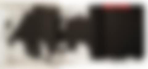 El Negro (preview)