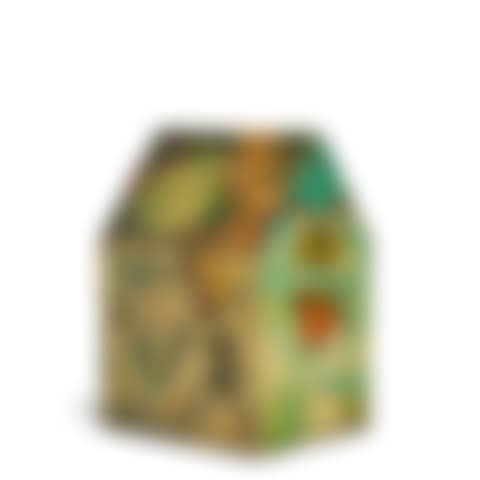 Untitled (House) (preview)