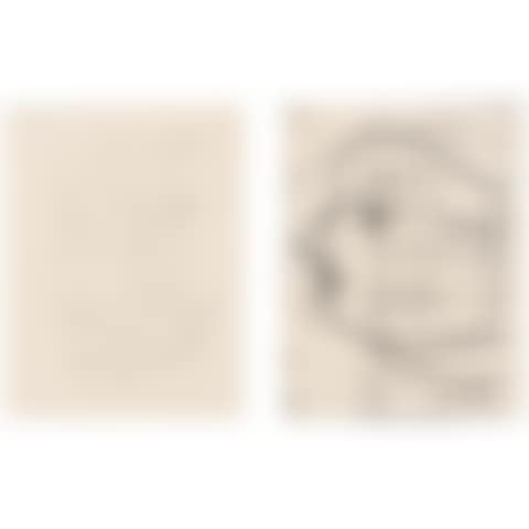 Untitled (A new Xerox edition of Paul Waldman) (preview)