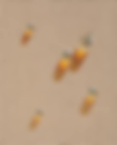 Water Drops (preview)