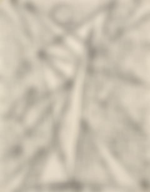 Abstract (preview)