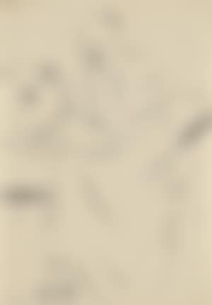 Two study sheets (preview)