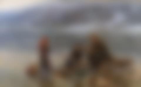 Isfiske (preview)