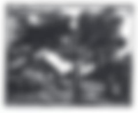 Epletreet (preview)