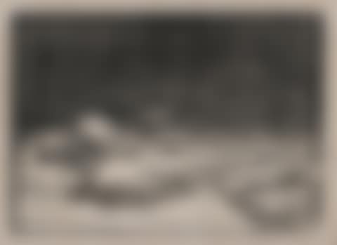 Winter Landscape (preview)