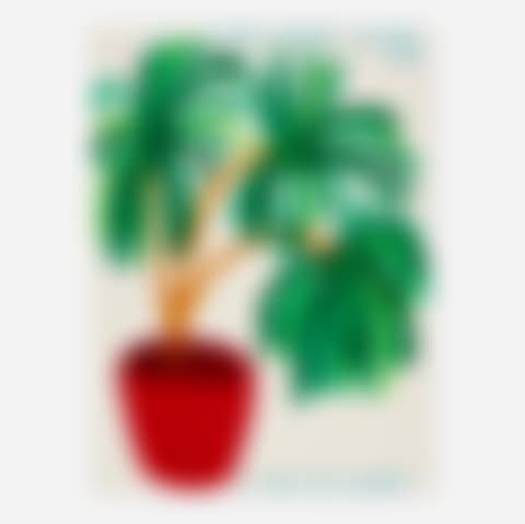 The Plant Loves Me (preview)