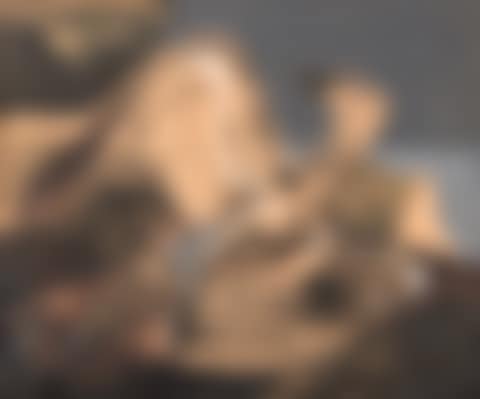 Untitled (Bird) (preview)