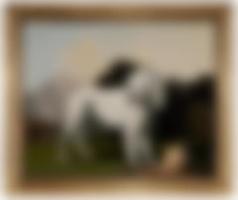 Portrait of a Poodle (preview)