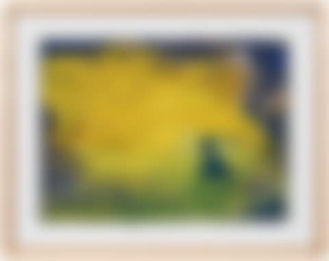 Bathing in a Yellow Sea (preview)